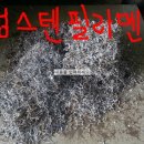 와이에스365