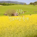 보리밭 | 고창 청보리밭 축제 학원농장 보리밭 유채꽃 후기 주차 꿀팁