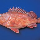 대덕상회 이미지