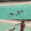 동물왕국 이미지