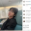 vincent(빈센트) 이미지