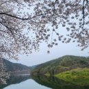 독용산성자연휴양림 이미지