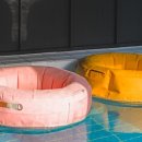 동이애견 이미지