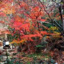 금강공원1 이미지