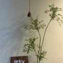 브릭어라운드 이미지