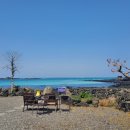 아라파파 이미지