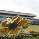 ㈜평화드림 이미지