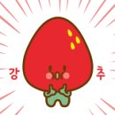 두테라서울점