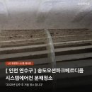 송도8공구 에어컨청소 송도오션파크베르디움 LG 천장형 시스템에어컨 분해세척