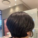 펠리아 광복점 이미지