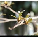 심복농장 이미지