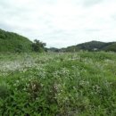 진관2리 마을회관 이미지