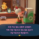 사반나 이미지