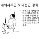 내전근강화훈련-정력증강 이미지