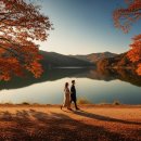 세종호수공원 산책로 | 세종 호수공원 가을 산책로, 인생샷 명소 솔직 후기