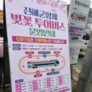 진해중앙고등학교 | 2024년 진해 군항제 후기 ( 군항제주차 / 군항제벚꽃만개 / 사진스팟 )