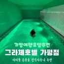 벨리몽 | 가평 애견동반 풀빌라까지 가능한 호텔그라체 가평점 리얼후기 아이와가볼만한곳