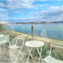 성산청과 이미지