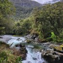 케아일랜드 | 뉴질랜드 남섬의 심장, 밀포드 사운드(Milford Sound) 가는 길: 테아나우 휴식과 숨은 명소 총정리