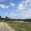 공릉천자전거도로변 이미지