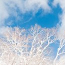 미소당구장 이미지