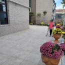 메디컬데이 이미지