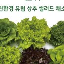 채소가득