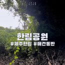 점섬공원 화장실 | 제주 한림 가볼만한 곳 한림공원 애견동반 방문후기