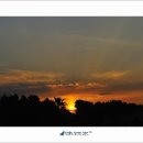 오렌지빌 이미지