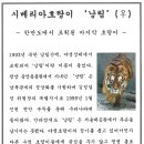 바람이지나간자리 이미지