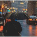 골프사랑연습장 이미지