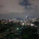 금화장 이미지