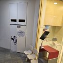 본원어린이집 | 우리아이가 다니는 레드펭귄미술학원 분당본원 리뷰