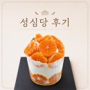 시루 | 대전 성심당 웨이팅 생귤시루 후기