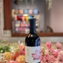 다나에스 이미지