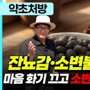 잔뇨감, 소변불편 끝! 마음 화기 끄고 소변 뚫어주는 약초 이미지