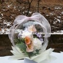 조브로스 이미지