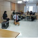 반려동물관리사 자격증 과정 이미지