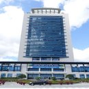 강릉시치매안심센터 이미지