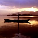 들꽃편지 이미지