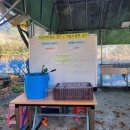 얼음골폭포민박 이미지