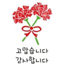 용인대태풍태권도 - 강서구 가로공원로76길 38 | 용인대태풍태권도