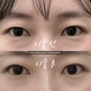 봄달리 | 대전 속눈썹펌 전문샵 '달리봄 스튜디오' / 봉산동 속눈썹펌, 송강동 속눈썹펌, 관평동 속눈썹펌 추천