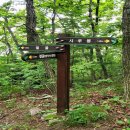 4월30일(목)경북 영천 보현사(1126m)천문대 시루봉 산행 예약 이미지
