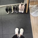 강남-248 | 호카 본디9 신세계 강남점 매장 구입 | 사이즈/가격/착용감 솔직 후기