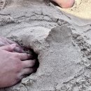 논짓물비치하우스 | 제주여행 찐 맛집 기록용🤎/코난해변 스노클 대여 비추❌