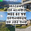 해물을품은짬뽕성주점 이미지
