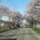 북면 카 이미지