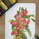 고운동 복컴 북측 3층 이미지