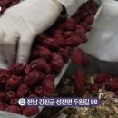 까망흑염소농장 네이버블로그